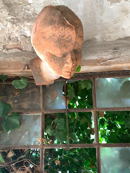 Terrakotta-Büste an einer Wand über einem alten Fenster mit rostigem Gitter; dahinter dichter Efeu, Licht fällt durch das Glas.